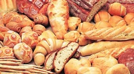 dietdiary480 no alt set