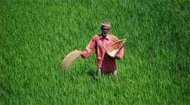 express column, sunday column, P Chidambaram, LARR Act, Land Acquisition Bill, Arun Jaitley, nirvana, nine step of nirvana, Narendra Modi, Land Acquisition, BJP, Modi govt, Rajya Sabha, Lok Sabha,Social Impact Assessment, Chidambaram on Land Aquisition Bill, Land Acquisition amendement bill, Birender Singh, Land Acquisition Act of 1894, Venkaiah Naidu