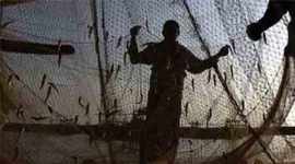 fishermen arrested, tamil fishermen arrested, sri lanka, indian fishermen, sri lankan navy, indian fishermen attacked, lankan navy indian fishermen,, sri lanka tamil nadu, tamil nadu sri lanka, tamil fishermen, tamil fishermen sri lanka, sri lanka news, india news, indian express
