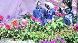 gurdwara flower show, flower show, painting competition, ludhiana news, city new, local news, ludhiana newsline