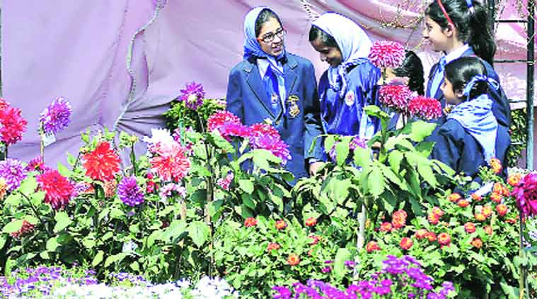 Students during the flower show at Gurdwara Singh Sabha in Sarabha Nagar on Sunday.(Source: Express Photo by Gurmeet Singh)