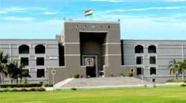 gujarat high court, kite flying, gujart kite flying, gujarat kite pil, indian express news, india news, ahmedabad news