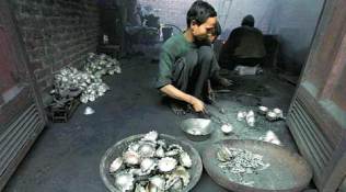 Two new schemes to promote skills, employment options