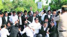 High Court Bar association Elections, elections, HCBA, bar association election, chandigarh news, city news, local news, Indian Express