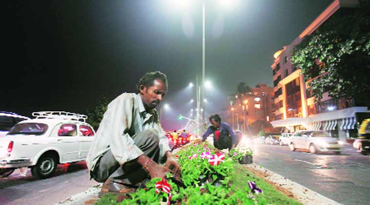 mumbai LED lights, marine drive LED lights, Shive Sena, LED lights, Marine Drive promenade, LED light survey, mumbai survey, mumbai news, city news, local news, mumbai newsline