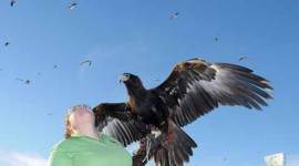 Cricket World Cup 2015, World Cup 2015, India, India World Cup 2015, Australia World Cup 2015, World Cup 2015 Australia, MCG, Melbourne Cricket Ground, Melbourne, Cricket News, Cricket