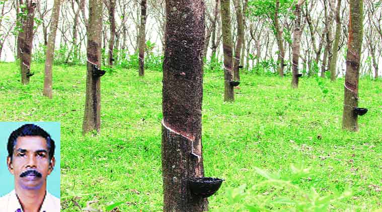 rubber price in india