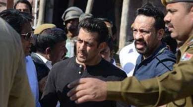 salman khan, salman khan court case, salman khan blackbuck poaching case, salman, salman khan cases, poaching case case, black buck case, salman khan black buck case, salman khan poaching case, salman black buck, salman khan legal cases, salman khan court, salman khan high court, lack buck, salman black buck, black buck prosecution, entertainment news, salman khan news