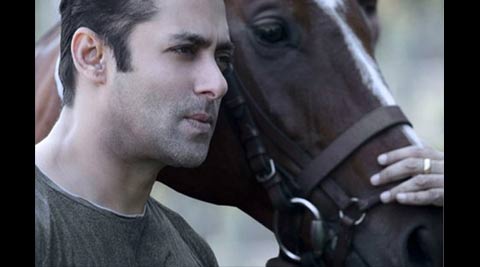 Salman Khan breeds horses at Panvel farm house