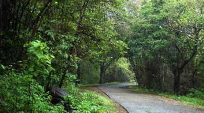 safari au parc national sanjay gandhi