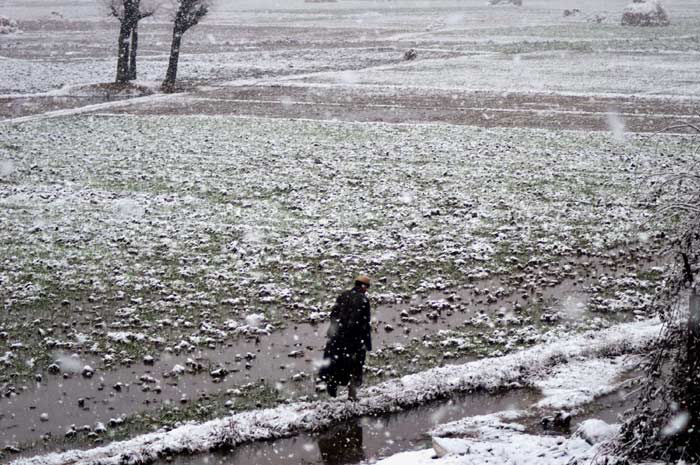 J&K Snowfall, JK snowfall, Jammu and Kashmir snowfall, snowfall in kashmir, kashmir snowfall, snowing kashmir, jammu and kashmir, snowfall in J&K, J&K snowfall