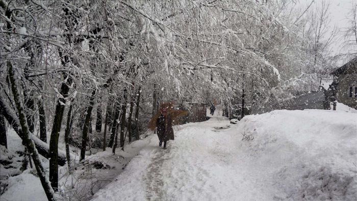 J&K Snowfall, JK snowfall, Jammu and Kashmir snowfall, snowfall in kashmir, kashmir snowfall, snowing kashmir, jammu and kashmir, snowfall in J&K, J&K snowfall