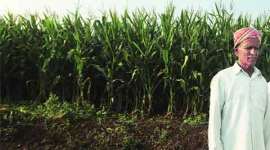 sugar mill, sugar prices, NCEDX, sugar mill, pune sugar mill, mumbai news