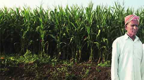 sugar mill, sugar prices, NCEDX, sugar mill, pune sugar mill, mumbai news