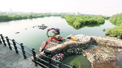 Parts of Thane creek a step closer to wildlife sanctuary tag | Mumbai ...