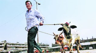 beef, beef ban, beef in rajasthan, beef in jaipur, jaipur beef, beef news, india news, latest news