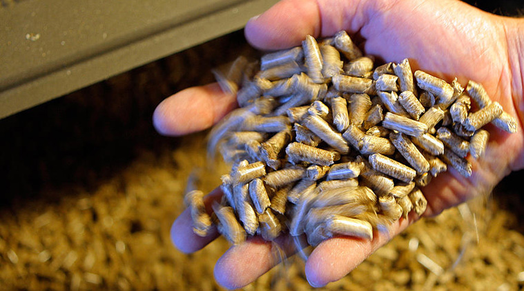 Biomass is organic material, often industrial byproducts, that can be used for heating. The most popular biomass is wood pellets made of compressed sawdust or chaffed wood pieces. (REUTERS)