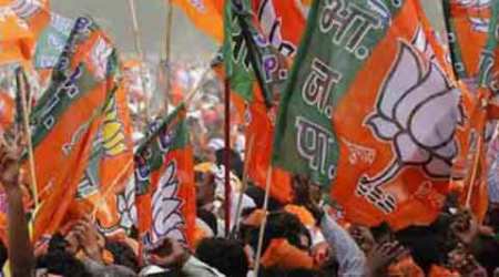 bihar mlc elections, bihar elections, bihar mlc, mlc, bjp, bihar bjp, lalit modi, vyapam scam, congress, india news