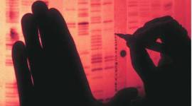 mumbai cancer, cancer mumbai, mumbai news, india cancer, cancer cure, Cadaver donation cancer, Cadaver donation mumbai, mumbai Cadaver donation, india news