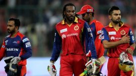 IPL 8, DD RCB, RCB DD, Chris Gayle RCB, RCG Chris Gayle, Gayle RCB DD, Virat Kohli, Indian Premier League, Cricket News, Cricket