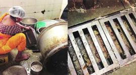 world health day, MUHS, UNICEF, corporate canteen, health pune, health, food, pune news, city news, local news, pune newsline