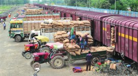 export, export data, rice, marine products, meat, dairy and poultry products, leather and products along with gems and jewellery, electronics, plastic goods, business news