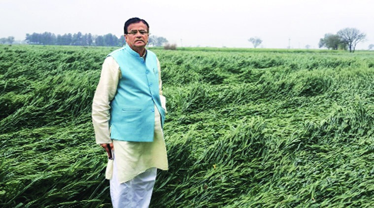 Om Prakash Dhankar, haryana government, haryana agriculture minister, seed bill, haryana seed bill, indian express news, india news