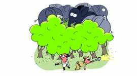 forest team, elephant check-up, widlife, district forest, elephant medical check-up, ludhiana news, city news, local news