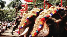 thrissur pooram, thrissur pooram 2019, thrissur pooram live, thrissur pooram live today, thrissur pooram kerala, thrissur pooram wishes, thrissur pooram images, thrissur pooram live video, thrissur pooram kerala, thrissur pooram elephant list, thrissur pooram video, thrissur pooram live updates