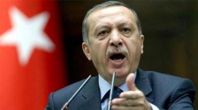 Turkey, President Tayyip Erdogan, Erdogan, Erdogan insulted, Turkey arrest, Turkey authoritarianism, Turkey free speech