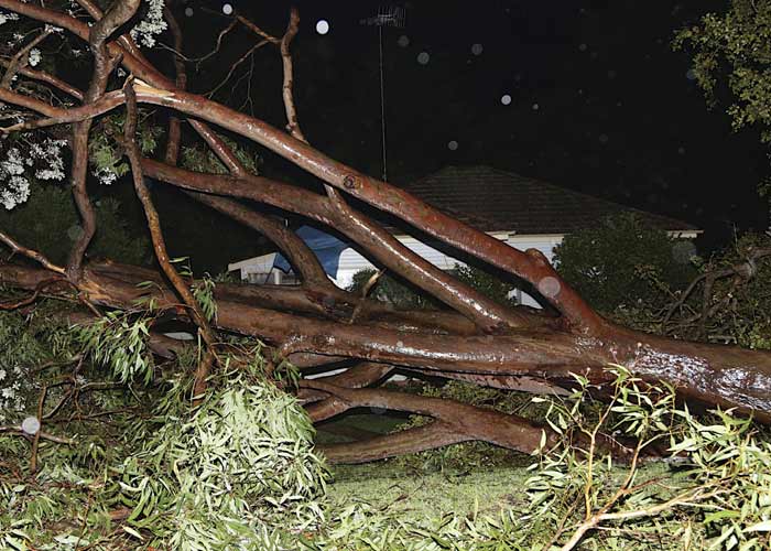 Australia cyclone, cyclone, Avalon Beach, Sydney, Australia, Georgeson, southeast, Raymond Terrace, Bondi Beach, Sydney central business district, international pictures, international news, national news, Australia news, Australia cyclone news, Australia cyclone pictures