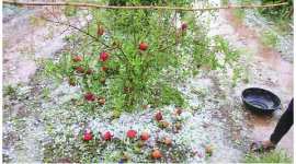 rail, mumbai rain, pune rain, weather, farmers, farmers problem, mumbai news, national news, india news, nation news