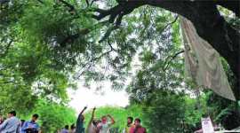 puri, puri wildlife, wildlife puri, wildlife protection, wildlife protection puri, puri wildlife protection, puri news, odisha news, india news