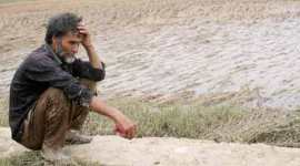 Farmer, Farmer suicide, odisha, odisha crop, odisha crop failure, farmer suicide odisha, odisha farmer suicide, odisha news, india news