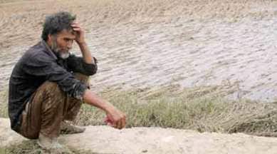 Farmer, Farmer suicide, odisha, odisha crop, odisha crop failure, farmer suicide odisha, odisha farmer suicide, odisha news, india news