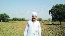 farmer, ruined crops, unseasonal rains, failing fields, farming ruined, kukas, kukas rajasthan, rajasthan farmers, kukas farmers, indian express farmers, india news