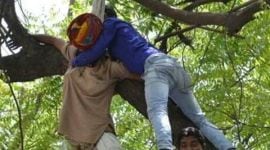 aap, aam aadmi party, aap news, farmer suicide, farmer suicide rally, farmer news, sit, delhi police, delhi news