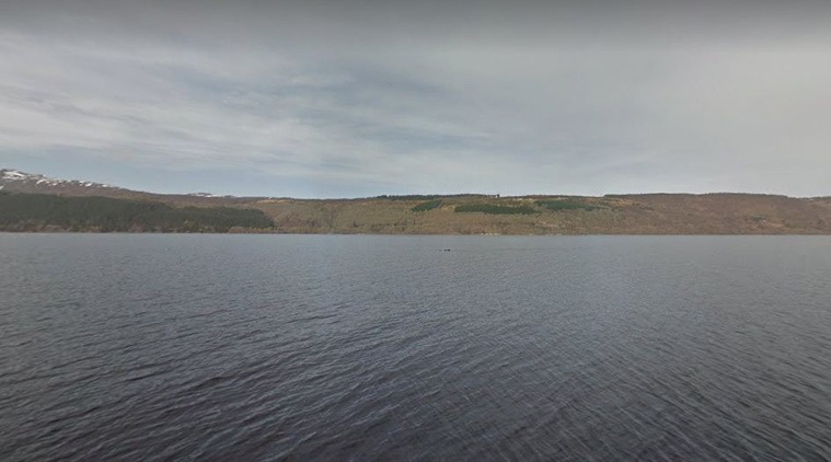 Bird, log or monster? (Source: Google)