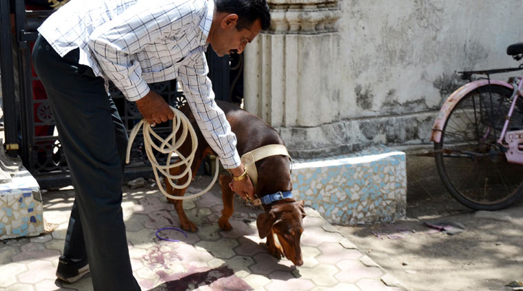 rajkot news, gujarat news, rajkot murder, gujarat college girl murder, gujarat murder, india news, ahmedabad news, news