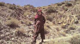 twitter, islamic state, indian islamic state jihadi, indian jihadi, islamic state twitter, islamic state news, twitter news, delhi news