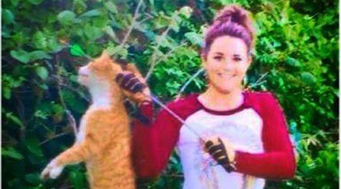 Texas vet fired for killing cat with a bow and arrow | The ... - 480 x 266 jpeg 129kB