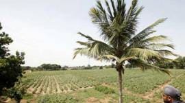 Shamlat, shamlat land, sale and purchase, Prakash singh badal, DDPO, ludhiana news, city news, local news, ludhiana news, indian express