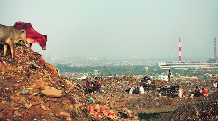 Okhla solid waste management, SDMC, Delhi solid waste management, delhi news, Indian express news