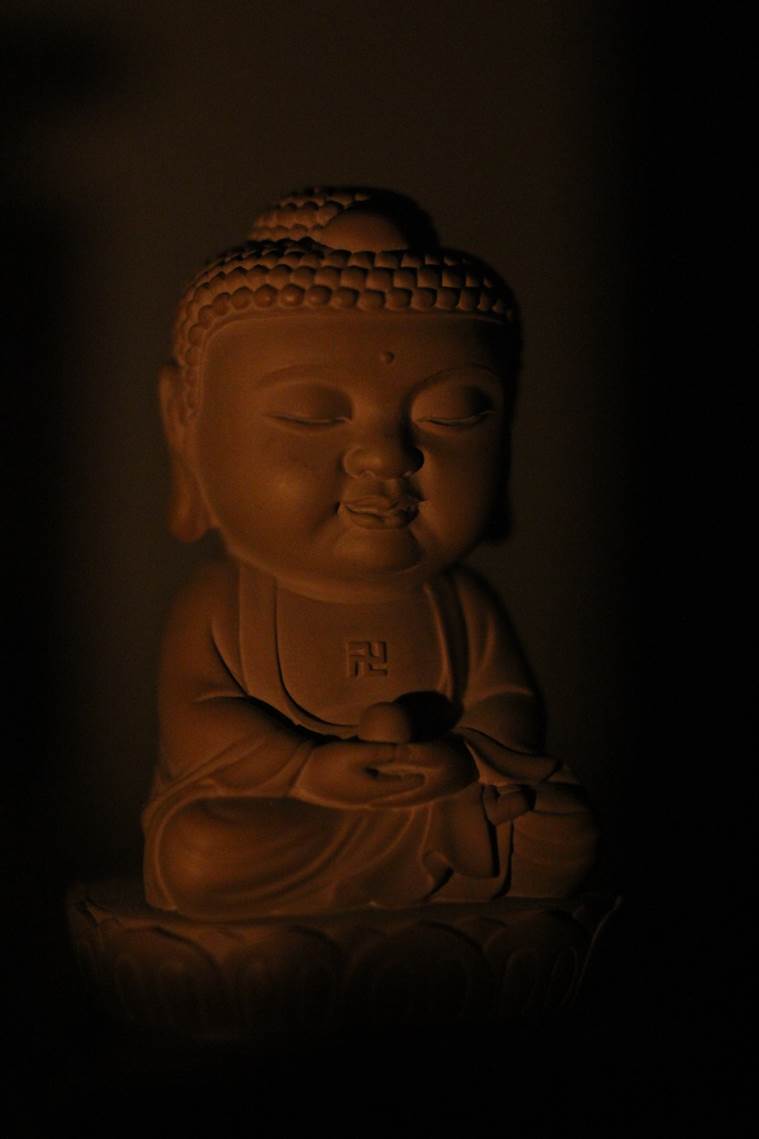 Sigma 50mm F1.4 DG HSM 