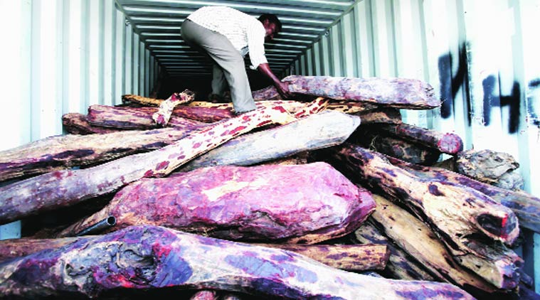 There is huge demand overseas, especially in China and Japan, where Red Sanders furniture and other items are status symbols.