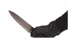 U.S, India, Indian origin man, US murder, Indian origin murder, Indian origin man stabs wife, Indian origin man charged with murder, New York