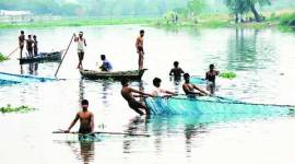 water level, mumbai water level, maharashtra water level, mumbai water, mumbai monsoon, mumbai rain, bmc, mumbai news, india news