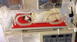 Maharashtra, Maharashtra start ups, Maharashtra entrepreneurs, Maharashtra State Innovation and Start-up Policy, maharashtra news, india news, indian express news