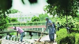 AAP, AAP in delhi, Arvind Kejriwal, Kejriwal govt, CM Kejriwal, Delhi news, city news, local news, Indian Express