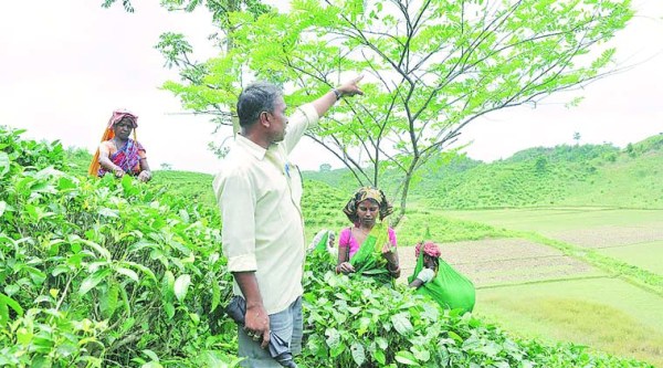 Postcards of change: The tea point | India News - The Indian Express